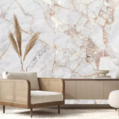 Papier peint  Fond de texture en pierre de marbre léger gris