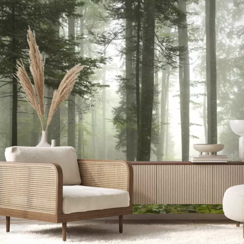 Papier peint  Beau paysage en forêt brumeuse