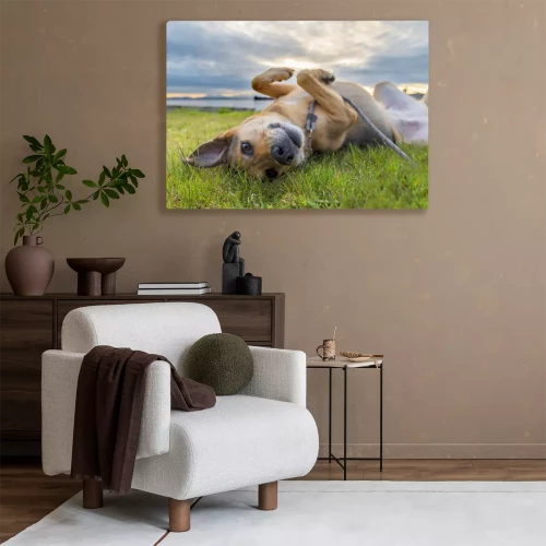 Visualisation du produit