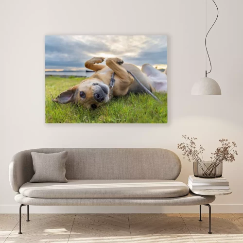 Visualisation du produit