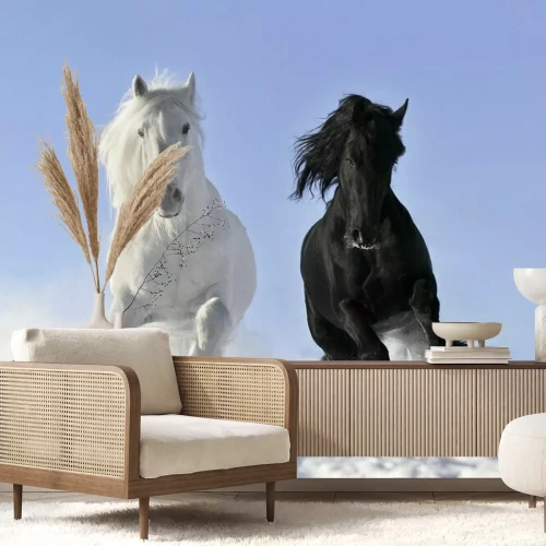 Papier peint  Cheval noir et cheval blanc