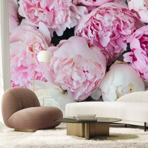 Papier peint  Pivoines blanches et roses
