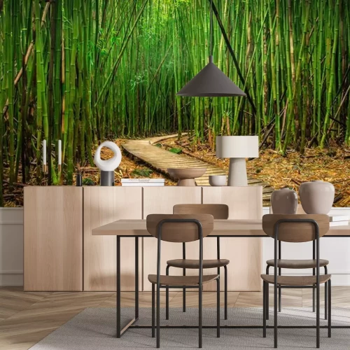 Papier peint  Foret de bambou