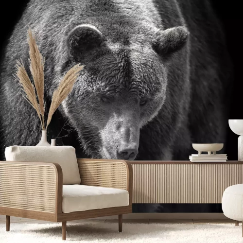 Papier peint  Portrait d'un ours sur fond noir