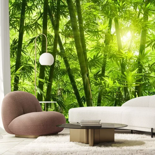 Papier peint  Forêt de bambous.