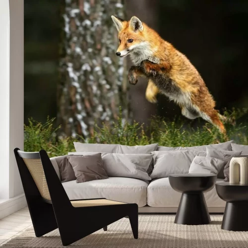 Papier peint  Renard volant