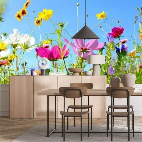 Papier peint  Fleurs des prés et ciel