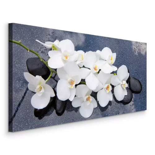 Tableau  Fleurs d'orchidées blanches sur pierres zen