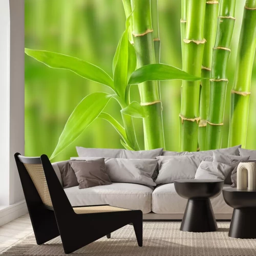 Papier peint  Bambou 3D en fleurs