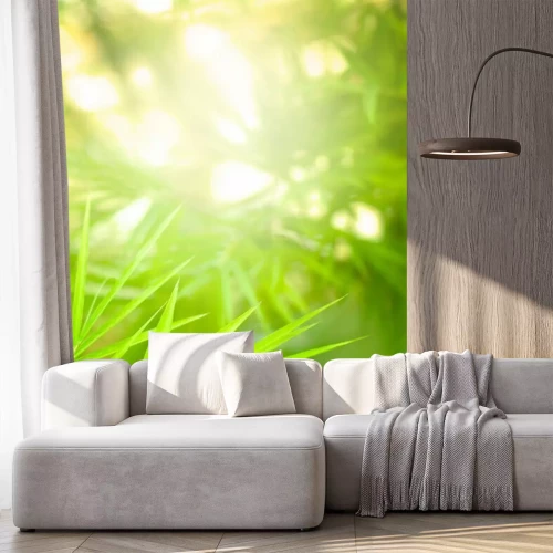 Papier peint  Rayons de soleil et feuilles de bambou