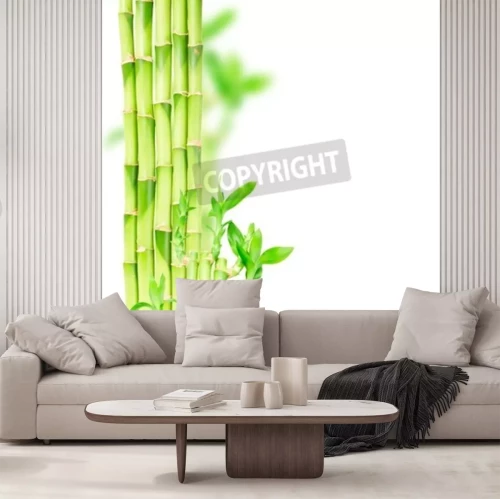 Sticker  Tiges de bambou vert et bordure d'avant-toit isolé sur fond blanc
