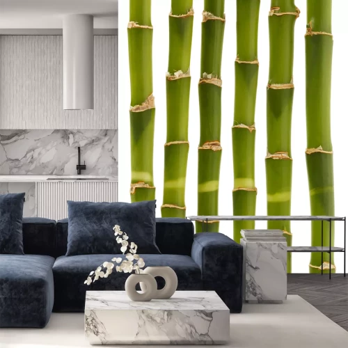 Sticker  Sections en bambou vert isolées sur fond blanc