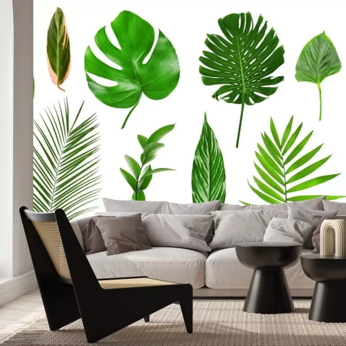 Sticker  Différentes feuilles tropicales sur fond blanc