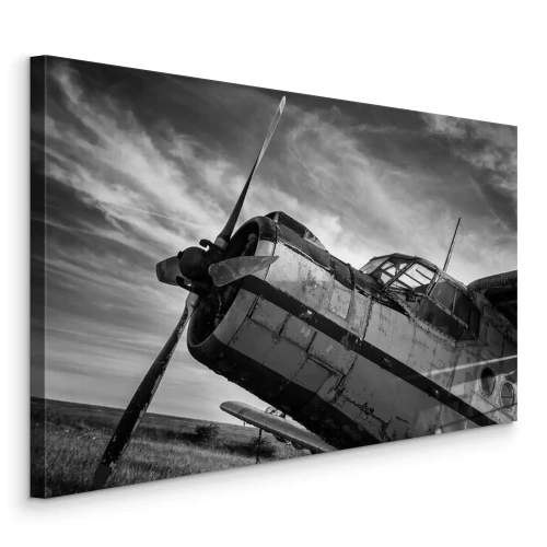 Tableau  Un vieil avion dans un champ, en noir et blanc