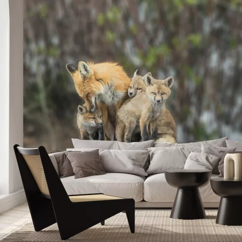 Papier peint  Squeezing In For Attention - Un kit de renard rouge s'accroche pour un peu d'amour de maman.