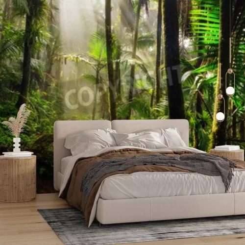 Papier peint  Rayons de soleil dans la jungle