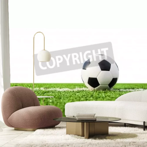 Papier peint  Football sur le gazon vert