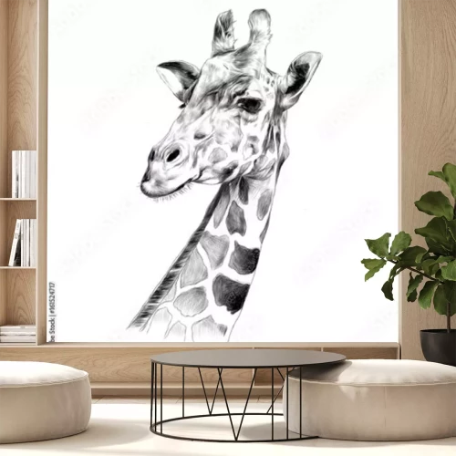 Sticker  Dessin noir et blanc d'une tête de girafe