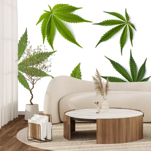 Sticker  Feuilles de marijuana isolées sur fond blanc