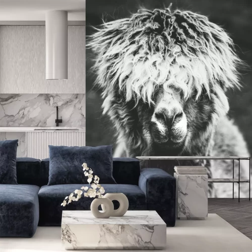 Sticker  Dessin noir et blanc avec un lama