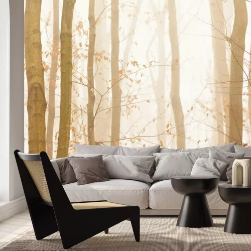 Papier peint  Les arbres disparaissent rapidement en jaune brouillard lumineux
