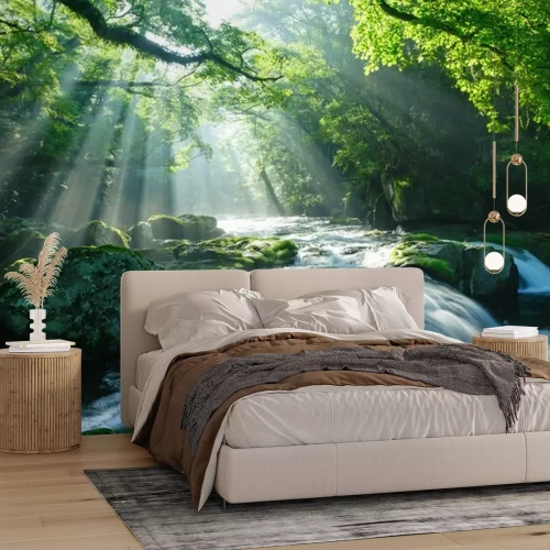 Papier peint  Ruisseau forestier entre les rochers