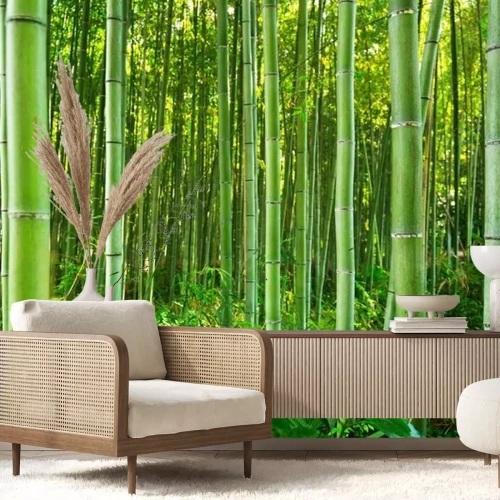 Papier peint  Une forêt de bambous verdoyante