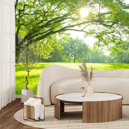 Papier peint  Prairie verte au soleil