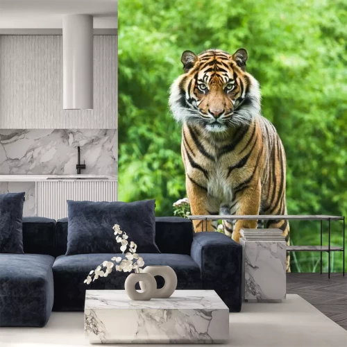 Papier peint  Tigre majestueux sur l'arbre