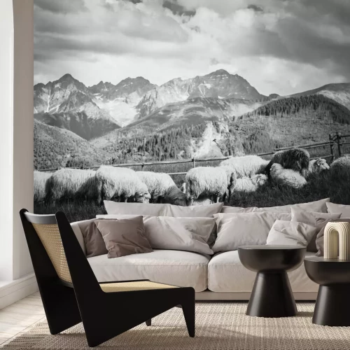 Papier peint  Panorama des montagnes en noir et blanc