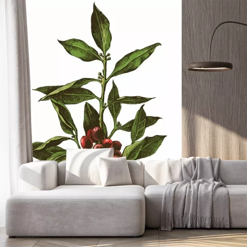 Sticker  Rampe d'arbre à café tiré à la main