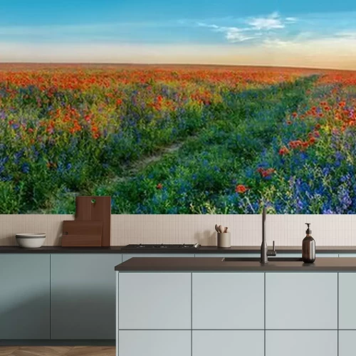 Papier peint  Grand panorama de coquelicots et de champs de cloches avec chemin