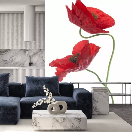 Papier peint  Deux coquelicots rouges
