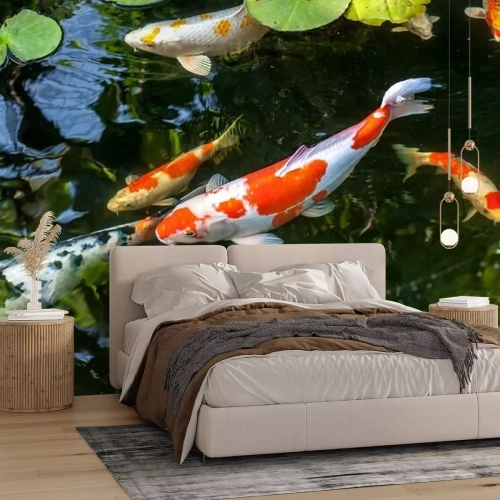 Papier peint  Poissons qui nagent au milieu de la végétation