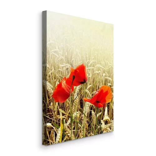 Tableau  Trois coquelicots rouges sur fond de céréales mûres