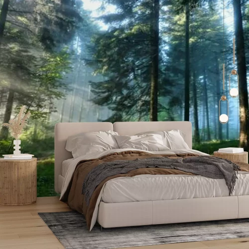 Papier peint  Paysage brumeux d’une forêt verte