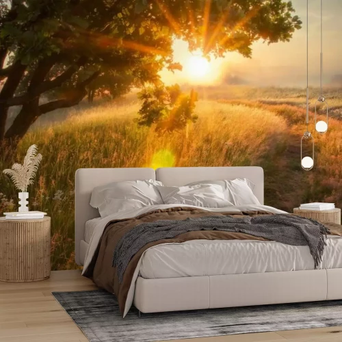 Papier peint  Paysage d'une clairière au lever du soleil