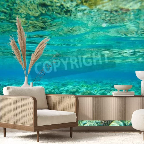 Papier peint  Fond de la mer avec des plantes