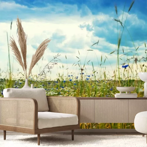 Papier peint  Bleusets et marguerites dans un champ