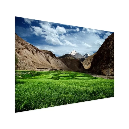 Visualisation du produit