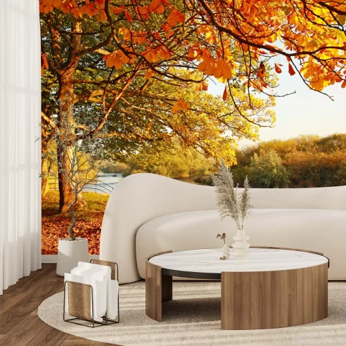 Papier peint  Paysage d'automne dans un parc