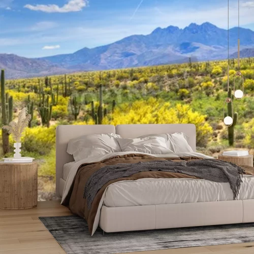 Papier peint  Plantes du désert en Arizona