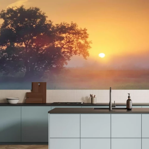 Papier peint  Matin brumeux au coucher du soleil