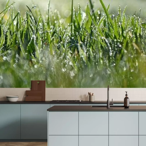 Papier peint  De l'herbe avec de la rosée au soleil