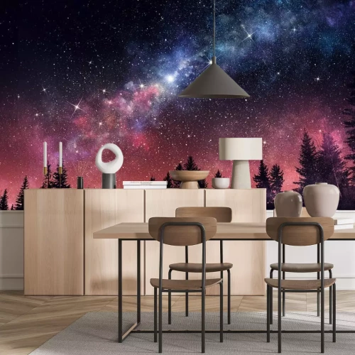 Papier peint  Ciel étoilé au-dessus d'une forêt sombre