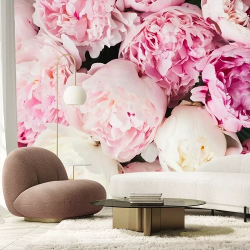 Papier peint  Fond floral rose de bourgeons de fleurs de pivoine rose fraîches