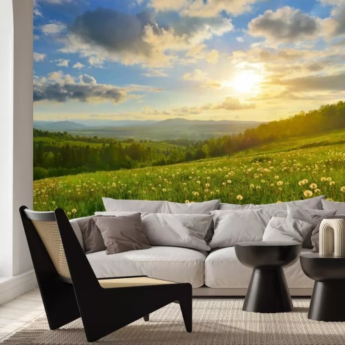 Papier peint  Pissenlits dans de vastes prairies