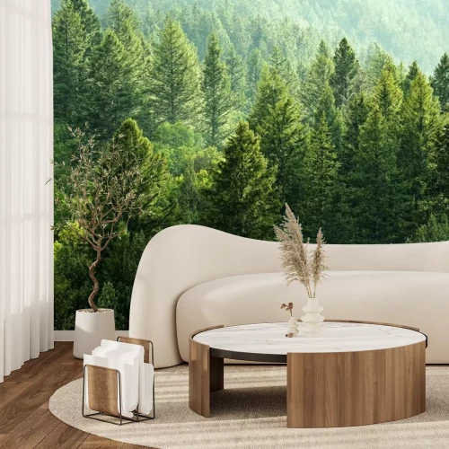 Papier peint  Cimes d'arbres verdoyantes