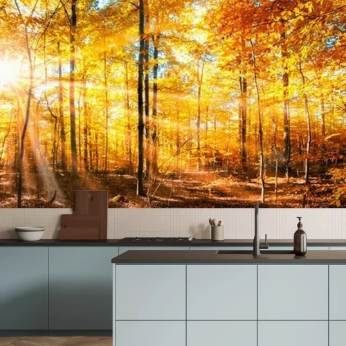 Papier peint  Panorama forestier en automne doré