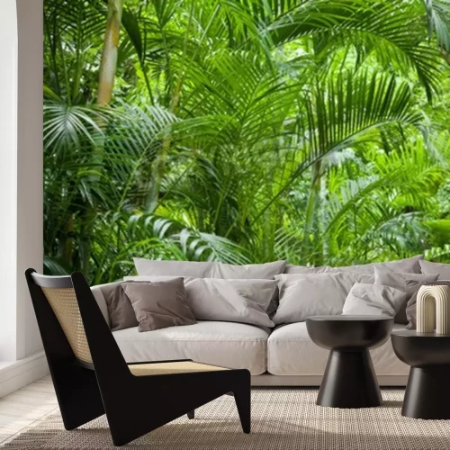Papier peint  Palmiers dans la jungle verte